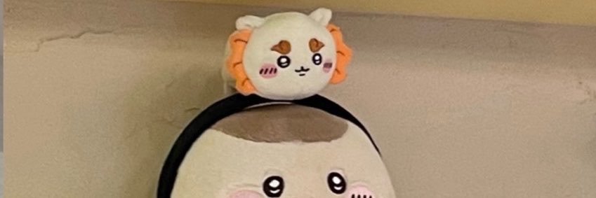 ito_shisa's profile banner image