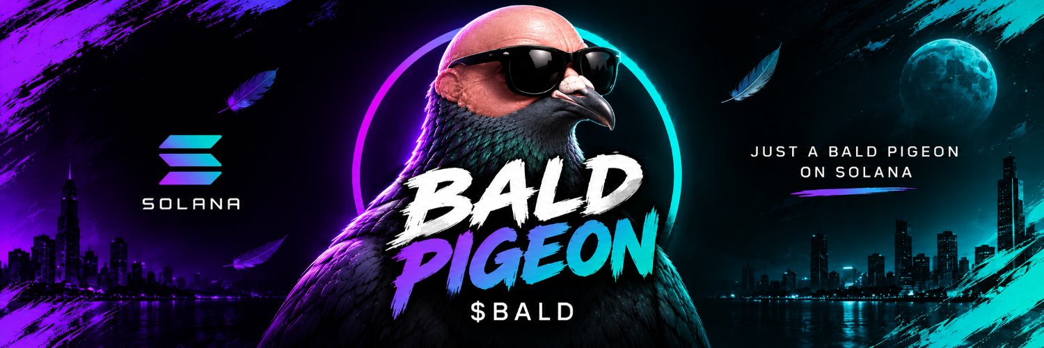 BaldPigeonzc's profile banner image