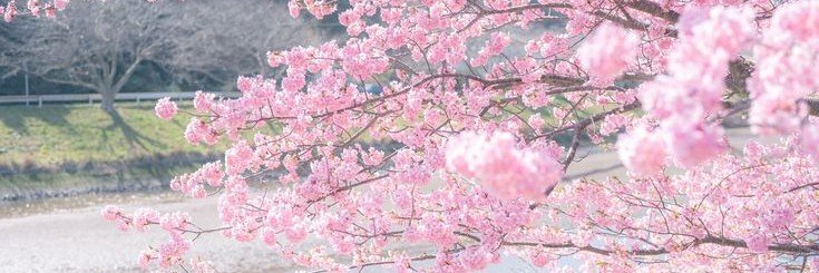 vkc7nu's profile banner image