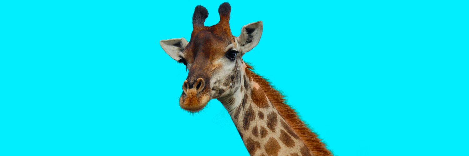 Radio AFRO Australia banner