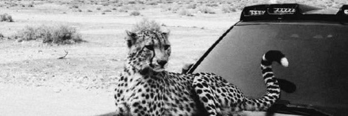 FahdPqm's profile banner image