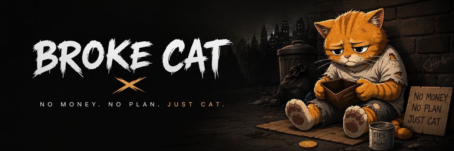 TheBrokeCatCoin's profile banner image