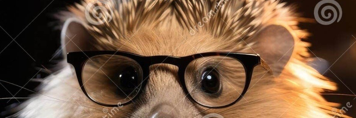 Dimaginaxal24's profile banner image