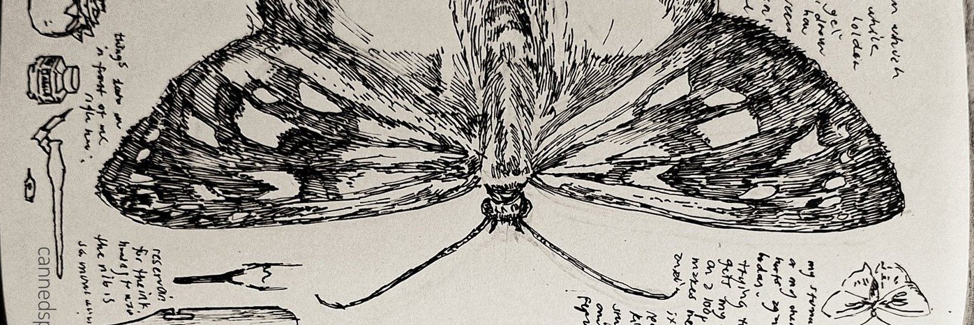 tanwitwist's profile banner image