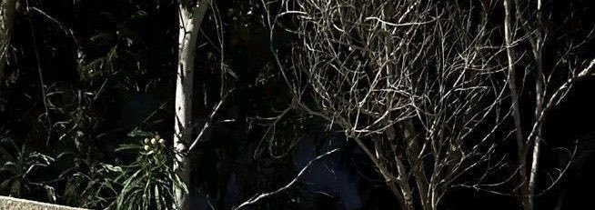 manarzaherr's profile banner image