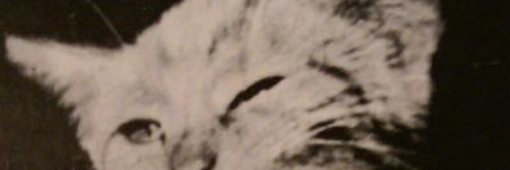 Ar_3533's profile banner image