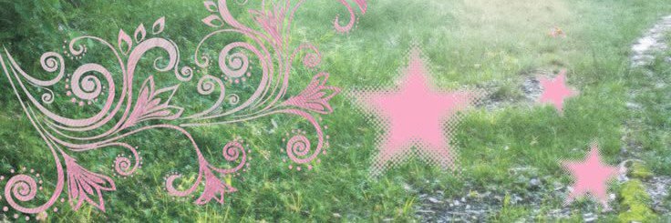 senggwol's profile banner image