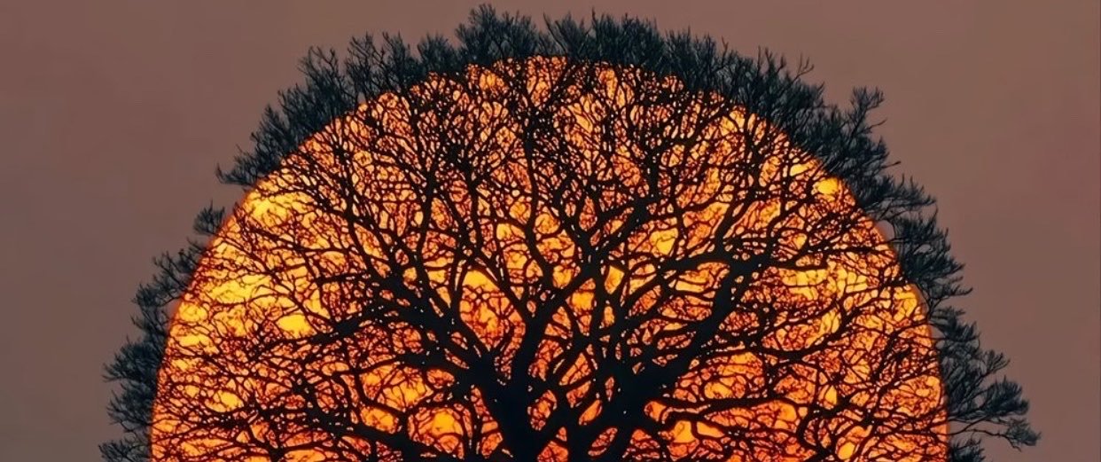 Darbam12's profile banner image