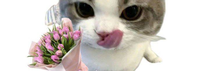fasnd8's profile banner image