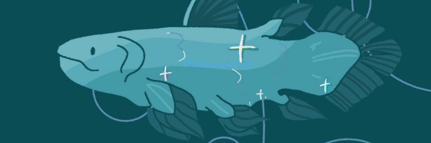 c0elacanth0141's profile banner image