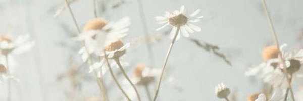 j4xbhs's profile banner image