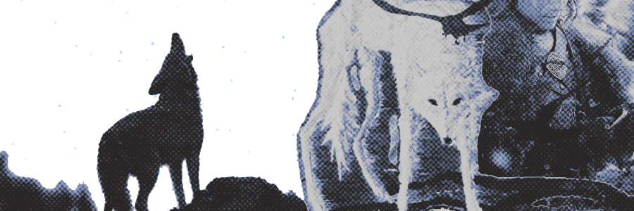 nothwolves's profile banner image