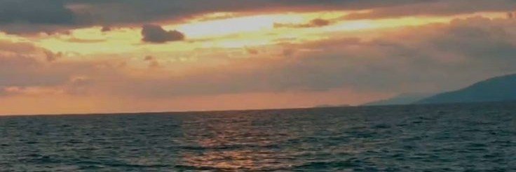 zbco6's profile banner image