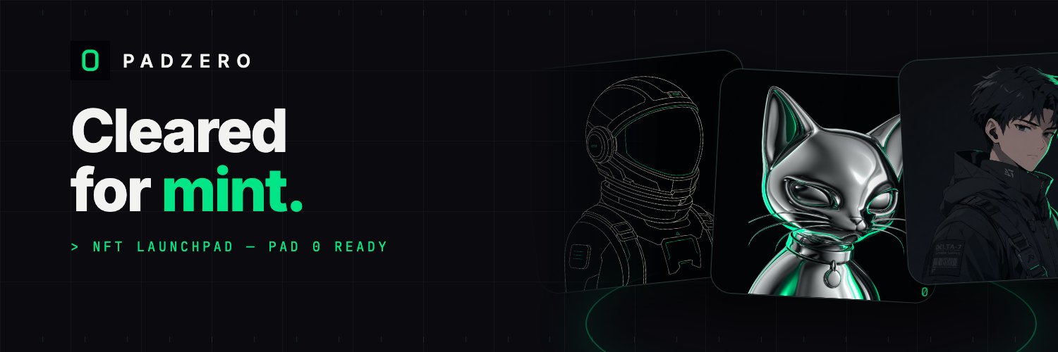 pad0nft's profile banner image