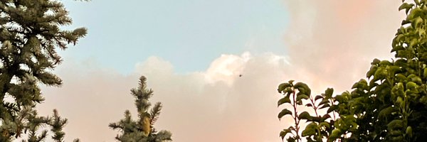 AleFillman Profile Banner