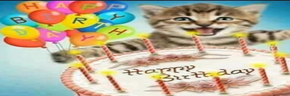olaellw_'s profile banner image