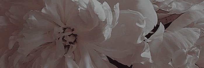 doucelipse's profile banner image