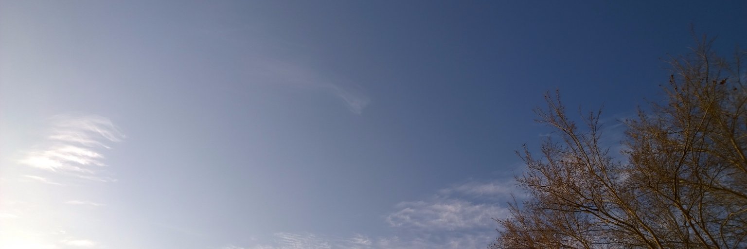 อลิส 🐰☀️ 𝒮𝓁ℴ𝓌 banner
