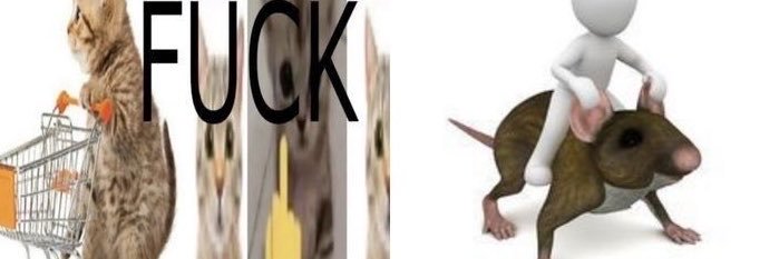 fiokej's profile banner image