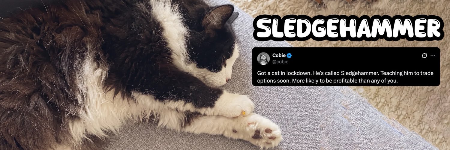 sledgebaseCTO's profile banner image