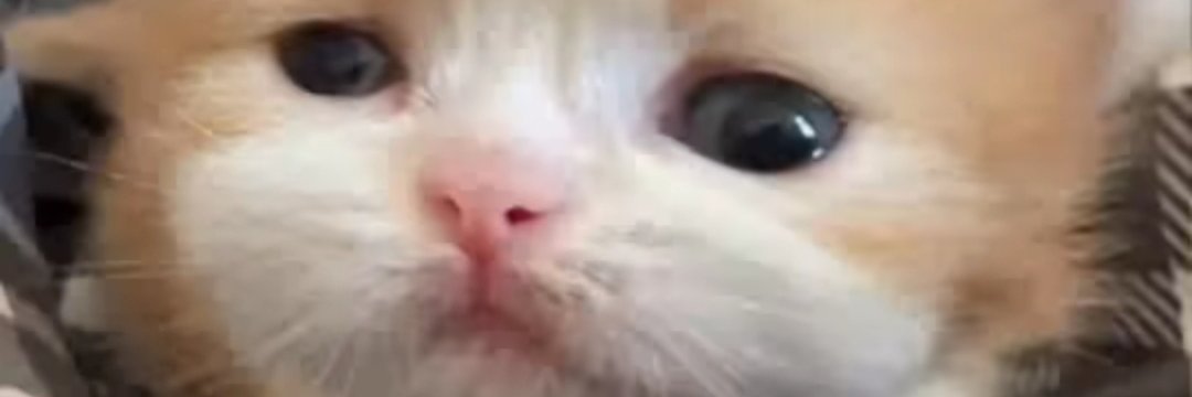 liovokk's profile banner image