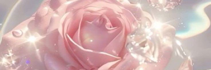 dannq0r's profile banner image