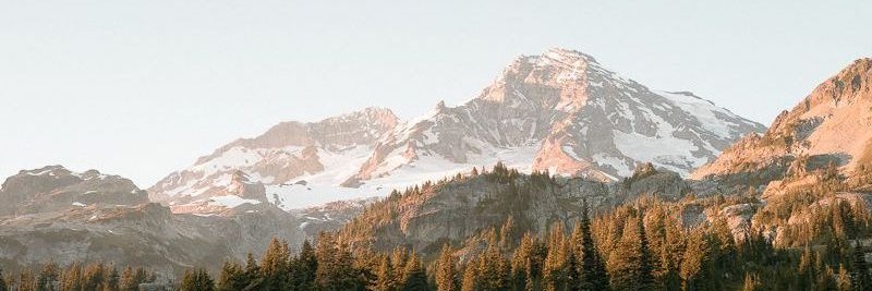 bubu_bunni's profile banner image