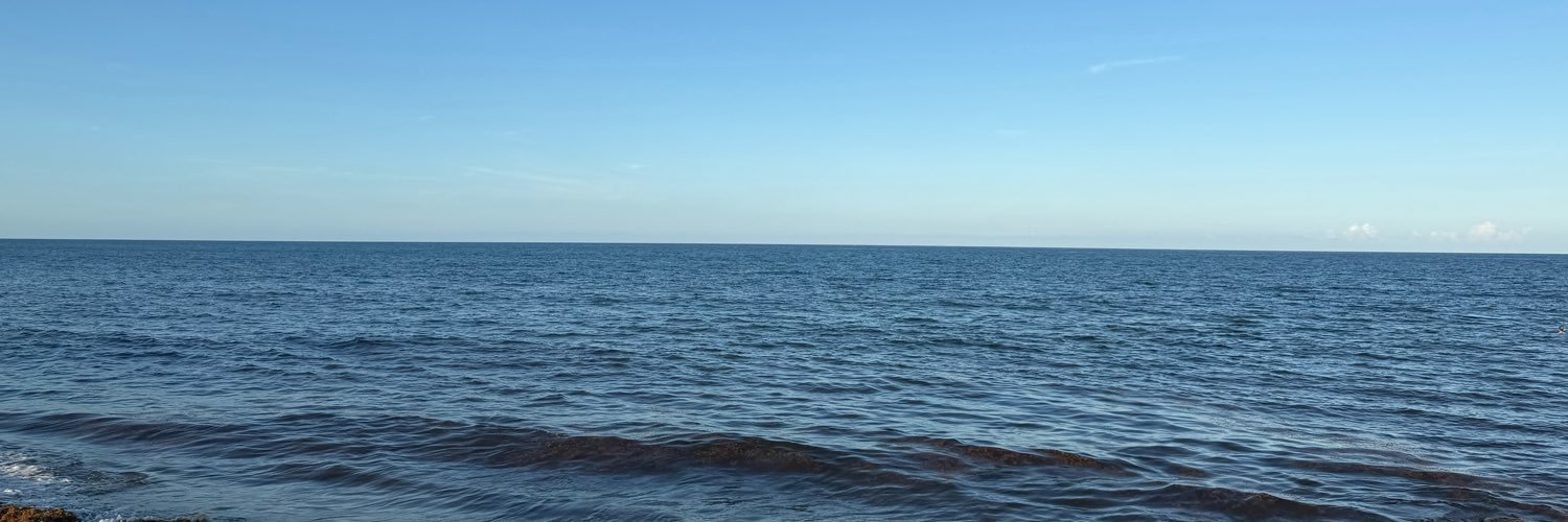 JulyFrancoE's profile banner image