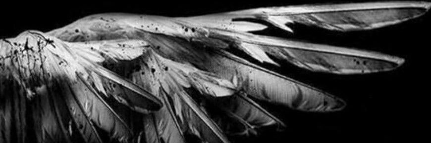decayedwingz's profile banner image