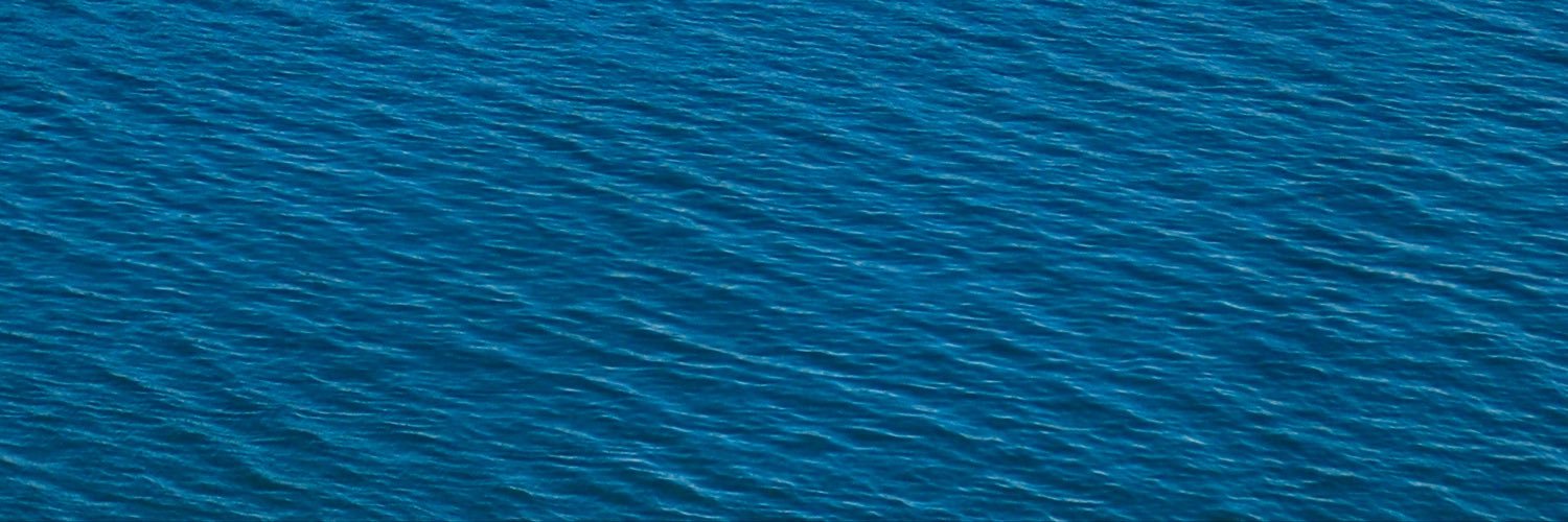 E_dulcis's profile banner image