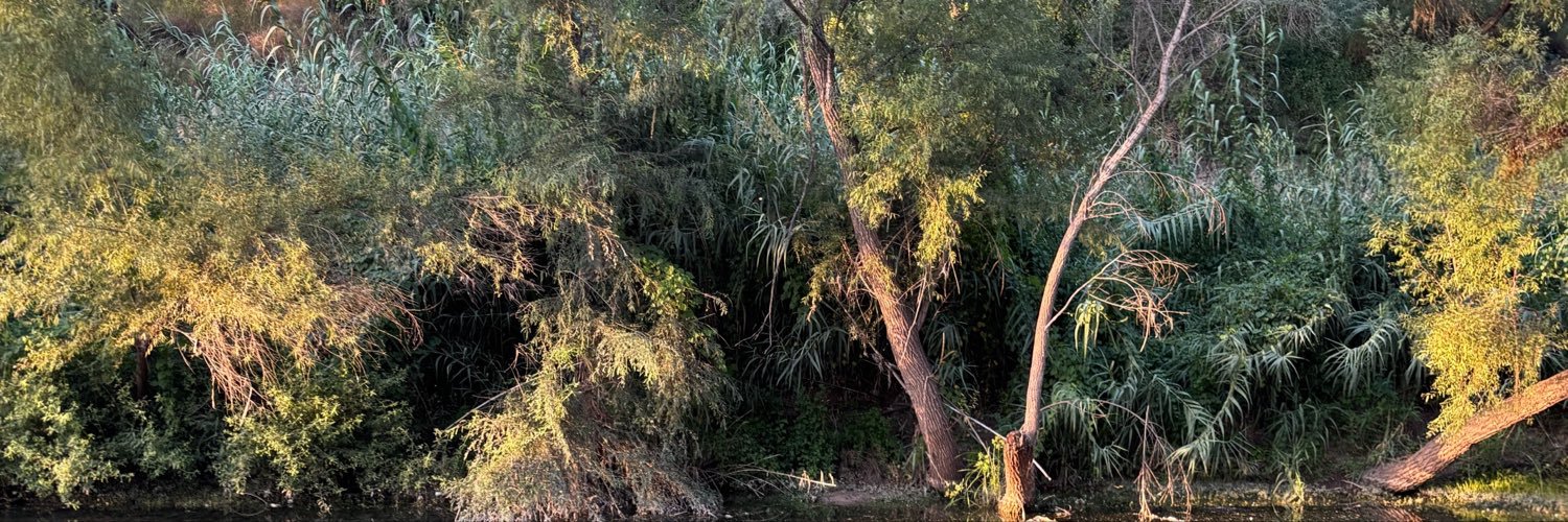 Stripcrazyzoo's profile banner image