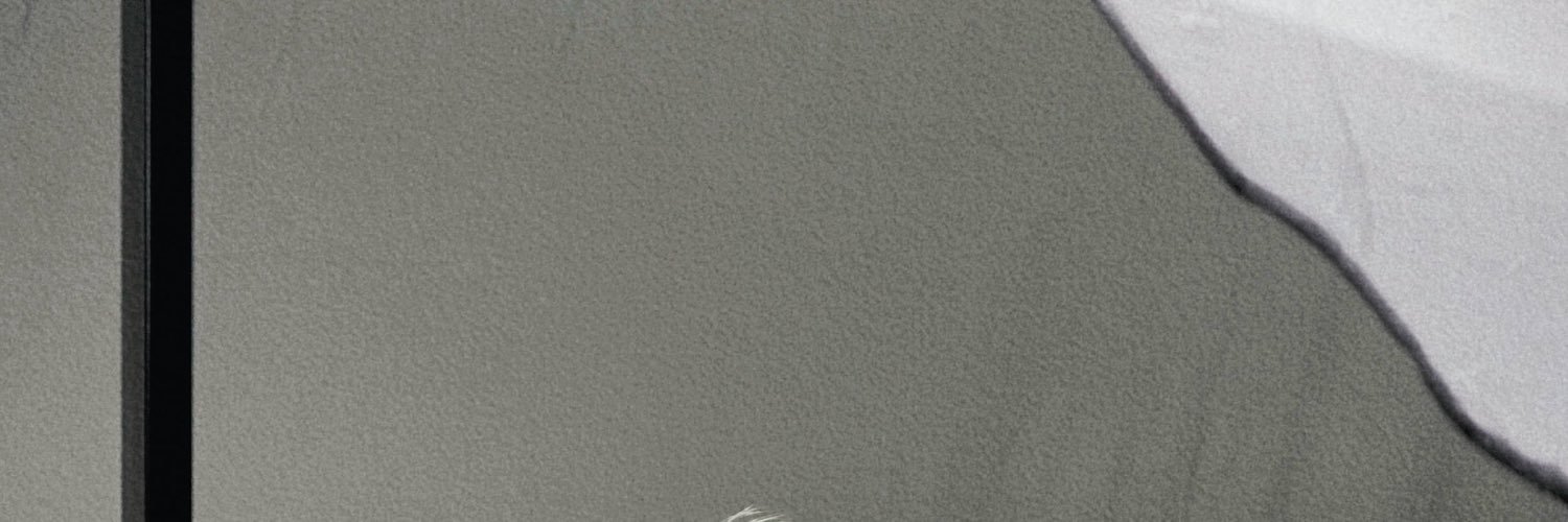 Ahyes66's profile banner image