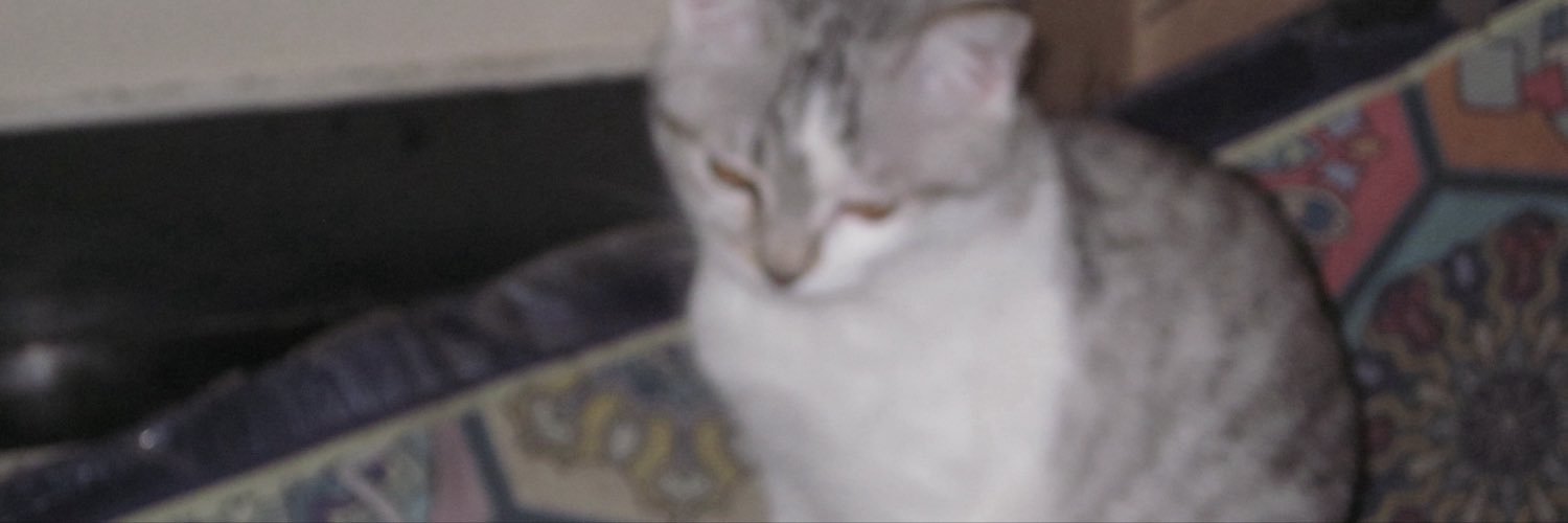 sglgsxt's profile banner image