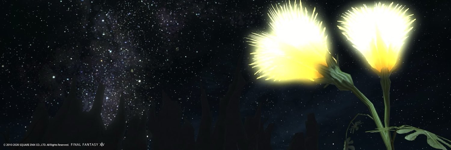 Lipton4625's profile banner image