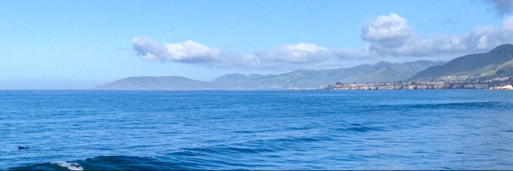 scottstw's profile banner image