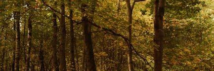 christin0apb's profile banner image