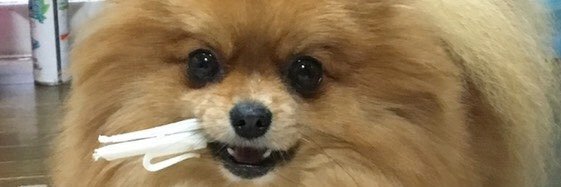 kouspeed's profile banner image