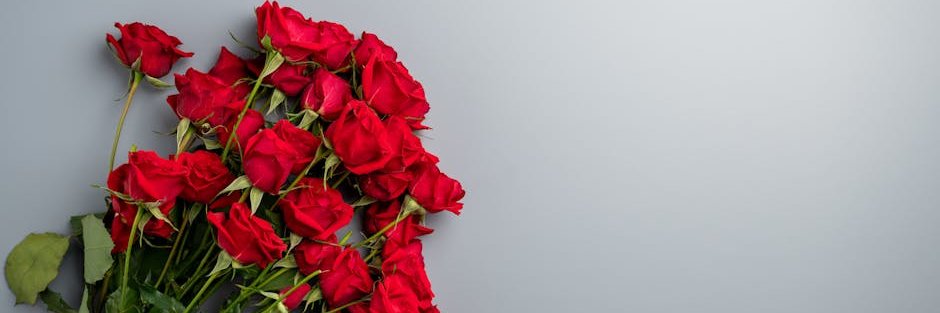 terrellma1af's profile banner image