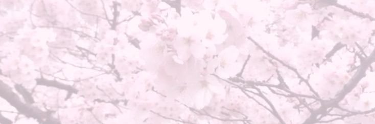 afterbloom_sk's profile banner image