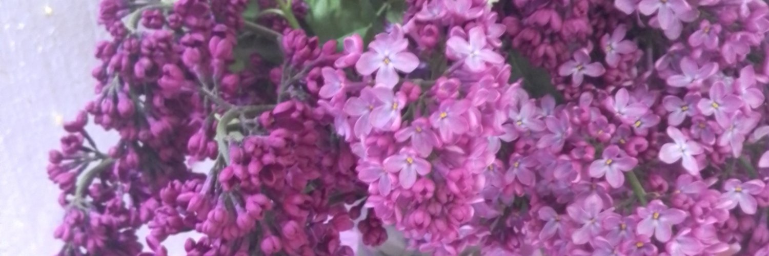 jxarlbwea's profile banner image
