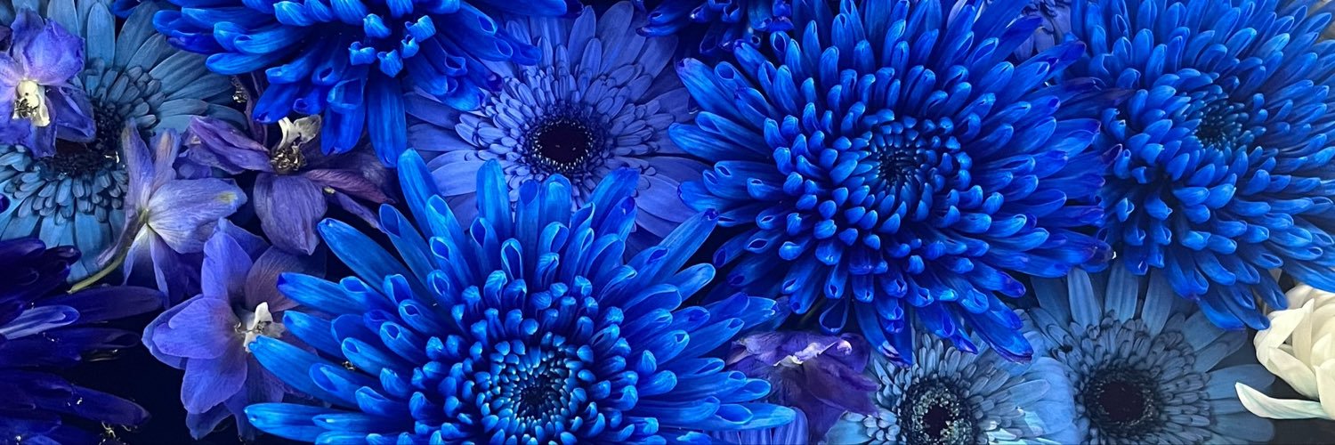 asase_dayo's profile banner image