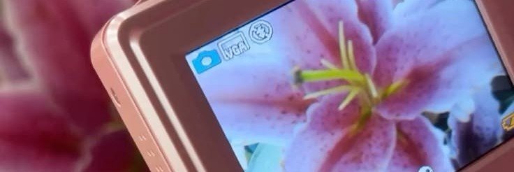 cherlyliilly's profile banner image