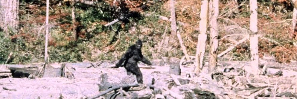 Dallas Shampoo banner