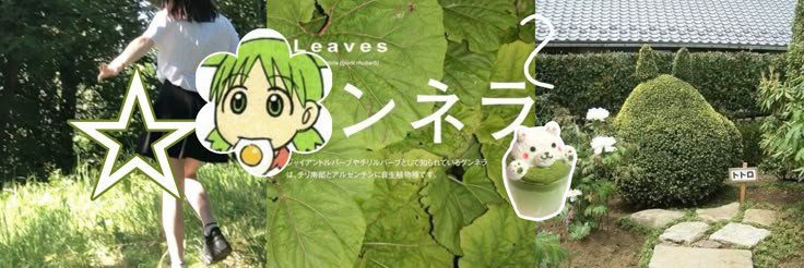 mtchalattestore's profile banner image