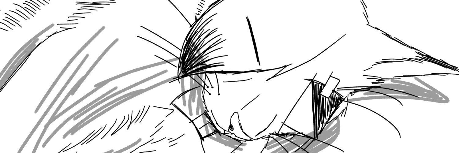 AOLYNX_RE's profile banner image