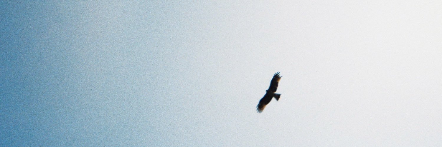 llr1_sb's profile banner image