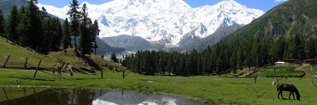 fahimrauf's profile banner image