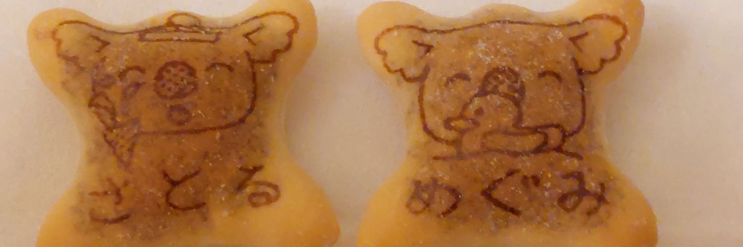 ハツカ🌻 banner