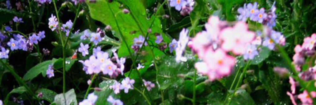4r_5's profile banner image