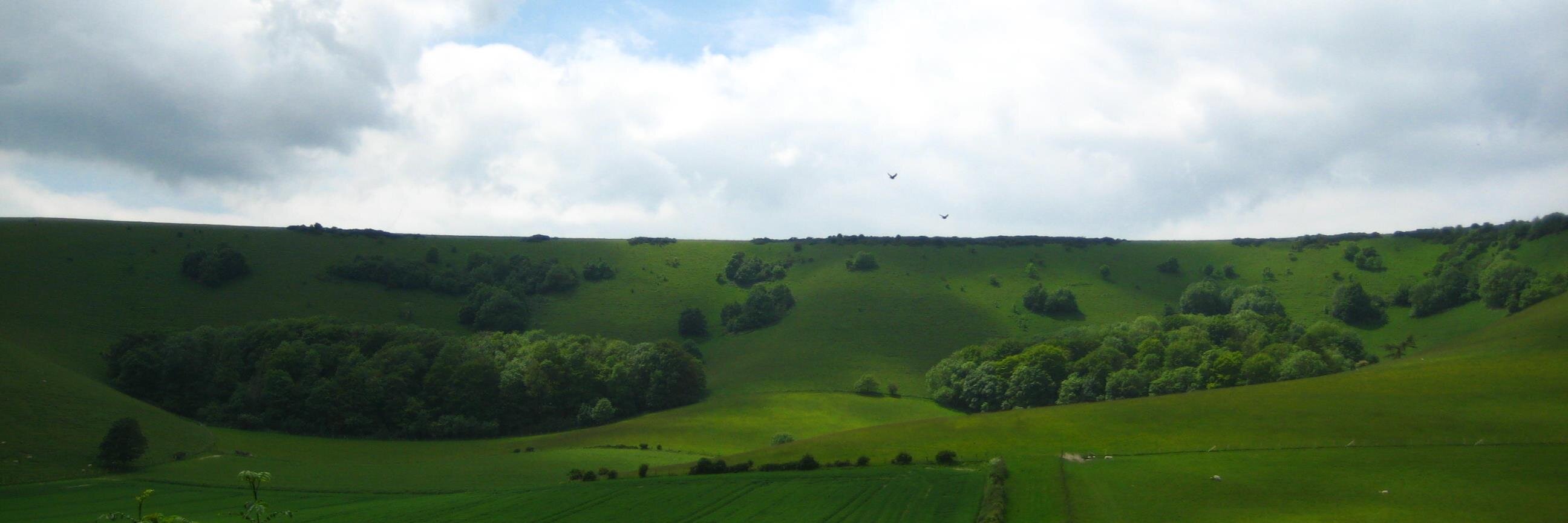 SimonWharne's profile banner image